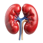Kidney Care
