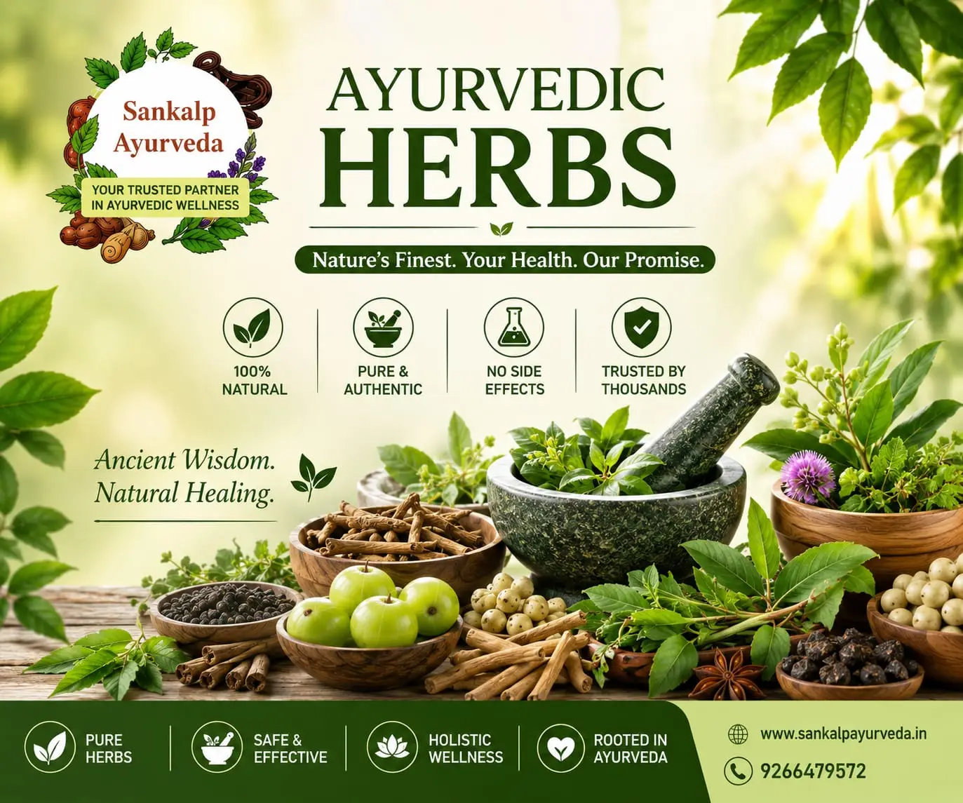 Ayurvedic Plant Herb